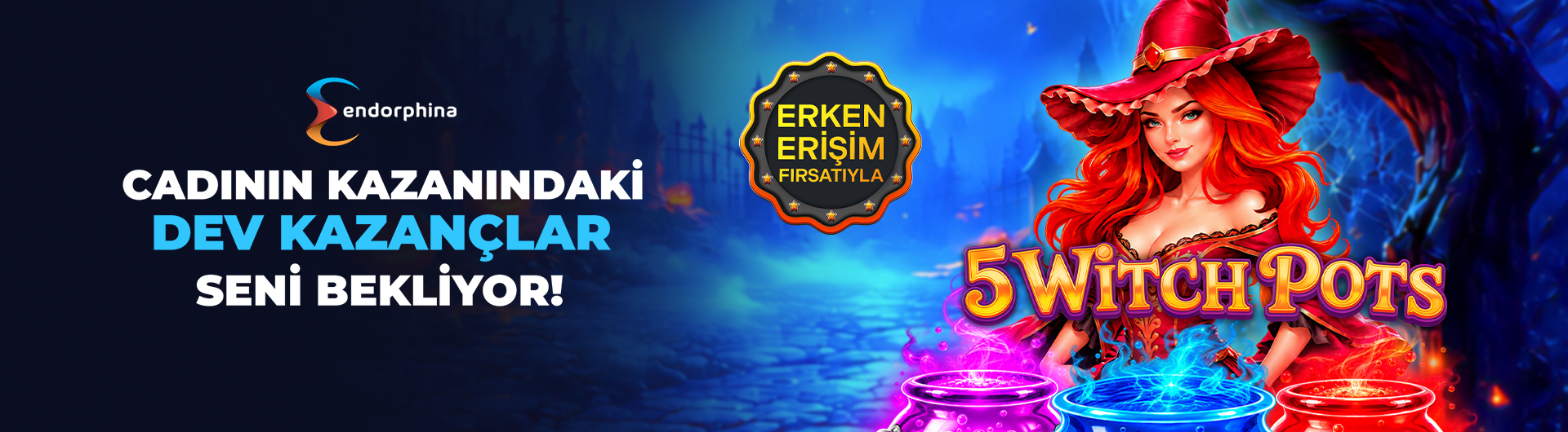 endo erken erişim